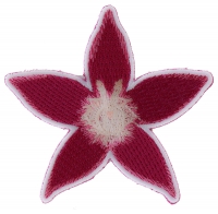 Pink Flower Patch Pink Flower Patch