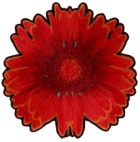 Red Orange Flower Patch Red Orange Flower Patch