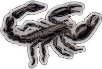 Scorpion Patch