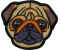 Cute Pug