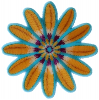 Yellow Blue Flower Patch