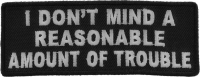 I Don't Mind A Reasonable Amount Of Trouble Patch | Embroidered Patches