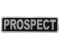 Prospect