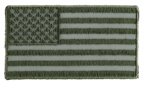 US Flag Patch Earth Green 2.5 Inch