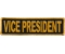 Vice President