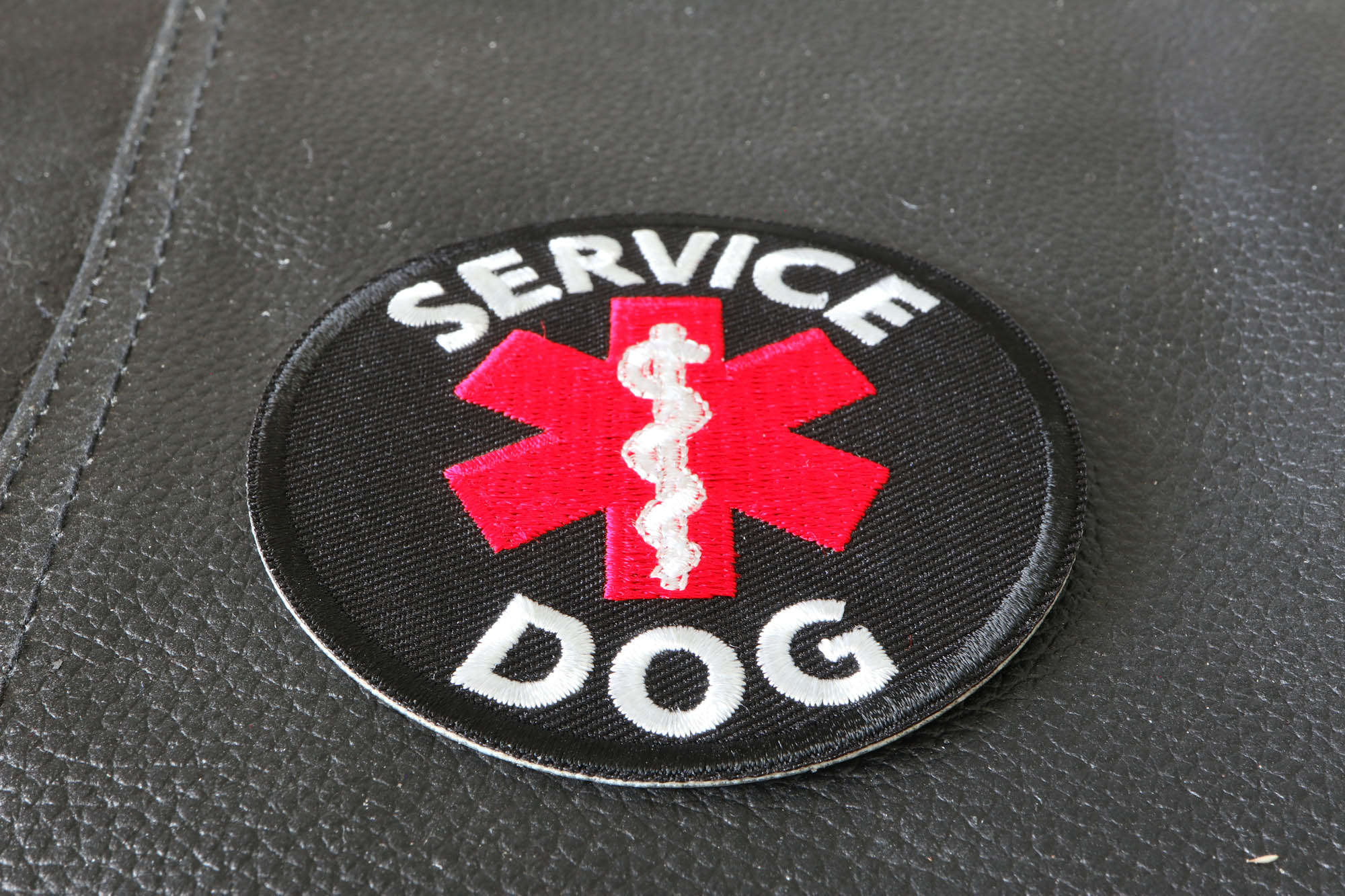Service Dog Patch by Ivamis Patches