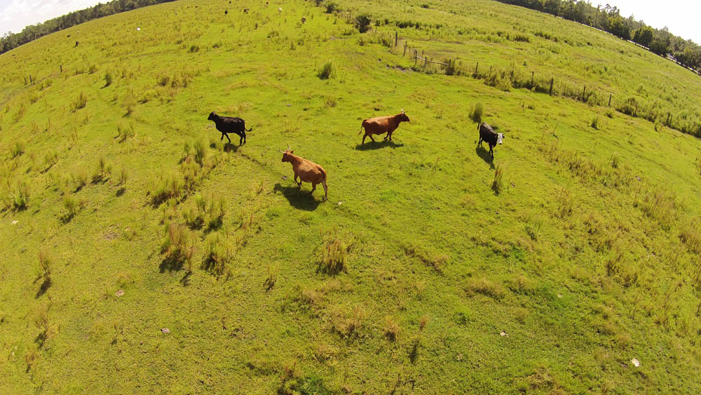 Drone Photos around Florida