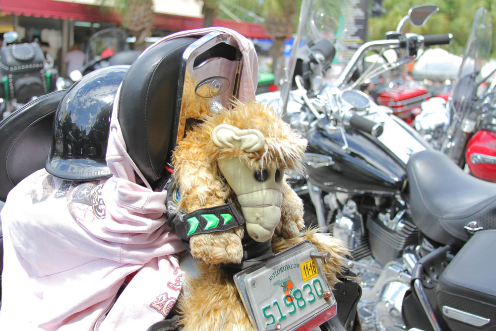 Bikers and their Patches: Photos From Leesburg Bike Fest 2016