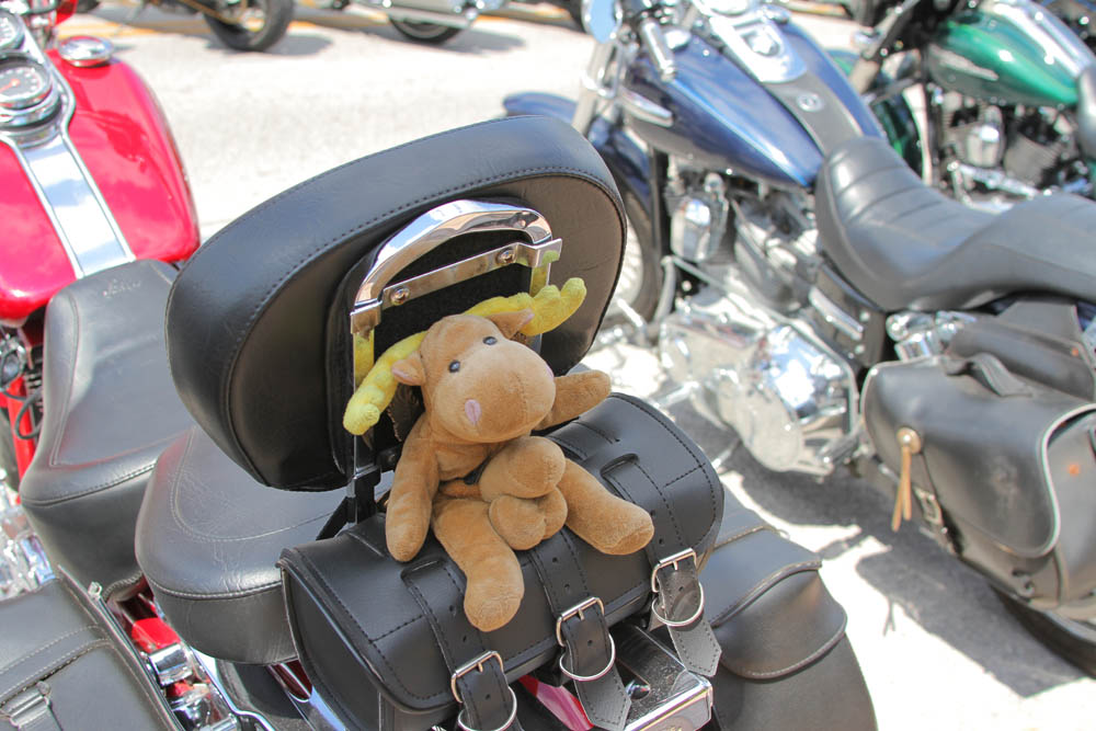 Bikers and their Patches: Photos From Leesburg Bike Fest 2016