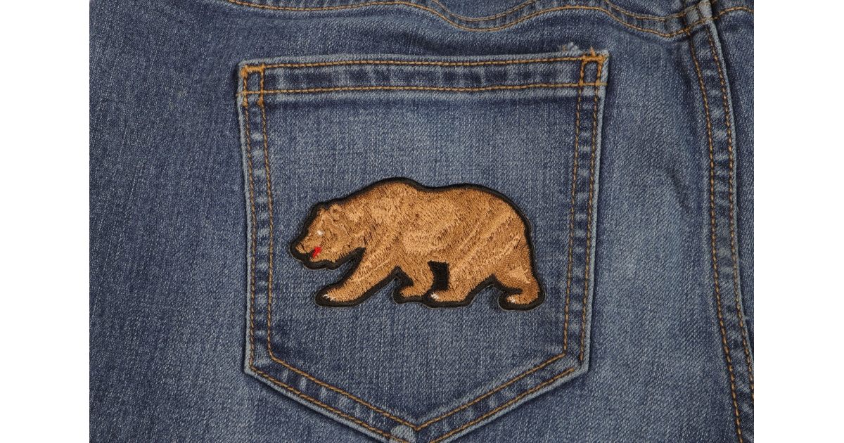 FIERCE NATURE Grizzly Bear 2 Oz Silbermünze 5$ Niue 2023 - Foto 10