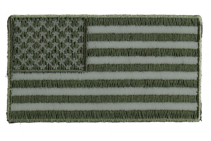 US Flag Patch Earth Green 2.5 Inch