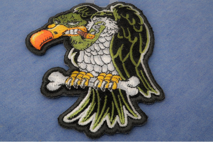 Vulture on Bone Patch diagonal view