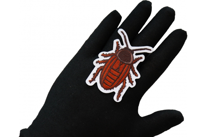 Cockroach Iron on Patch shown on hand for size comparison
