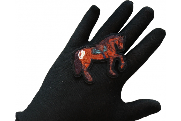 Horse Patch shown on hand for size comparison