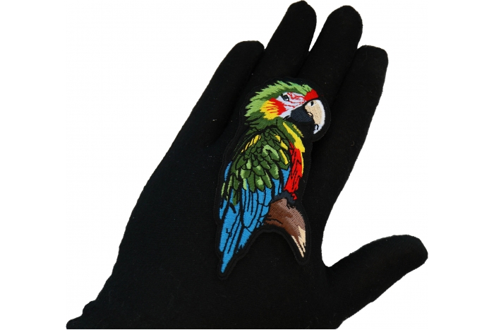 Parrot Patch shown on hand for size comparison