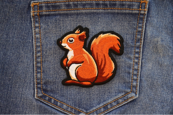 Cute Squirrel Patch shown on jeans