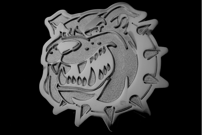 Bulldog Pin shown on jeans