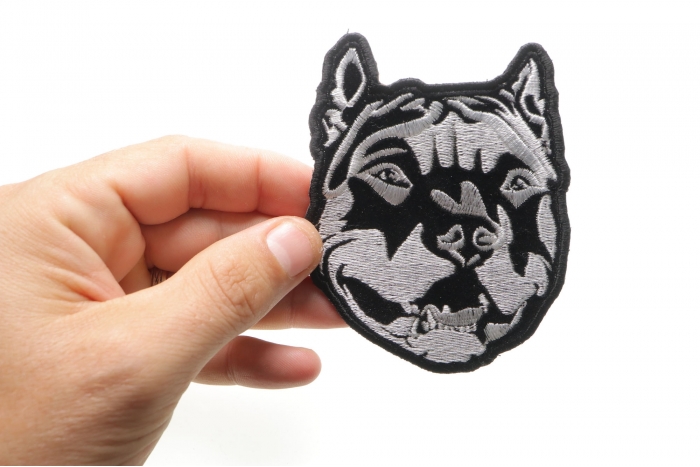 Small Pitbull Patch shown on hand for size comparison