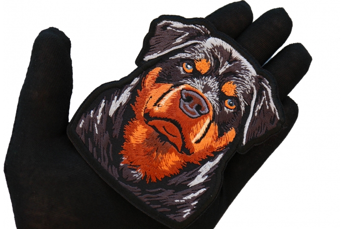 Rottweiler Stare Patch shown on hand for size comparison