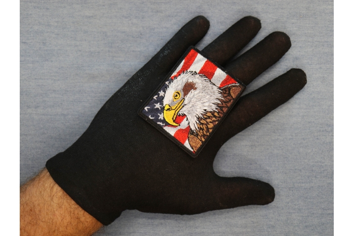 Patriot Eagle Patch shown on hand for size comparison