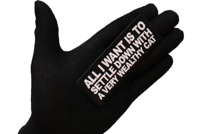 All I want is to Settle Down with a very wealthy Cat Patch, Funny Saying Patches, Sew or Iron on Patch shown on hand for size comparison