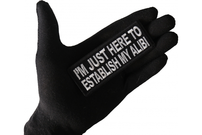 I'm Just here to Establish my Alibi Patch, Funny Saying Patches shown on hand for size comparison