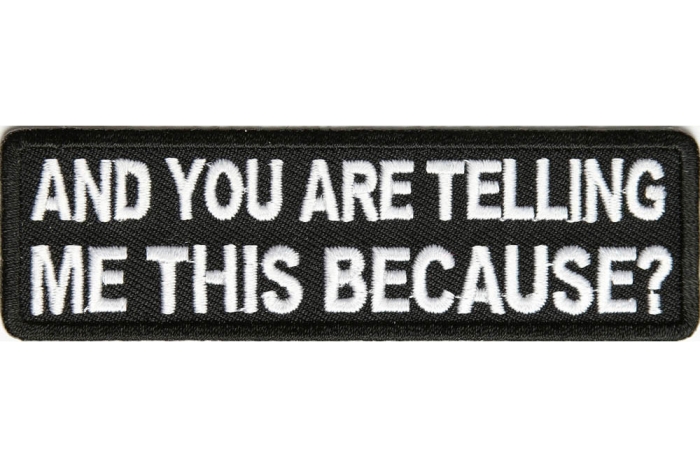 You Are Telling Me This Because Funny Iron on Patch You Are Telling Me This Because Funny Iron on Patch