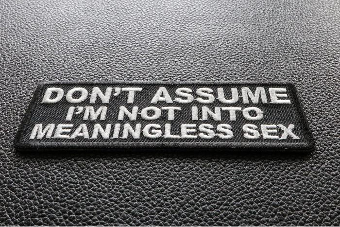 Don't Assume I'm Not Into Meaningless Sex Funny Iron on Patch diagonal view