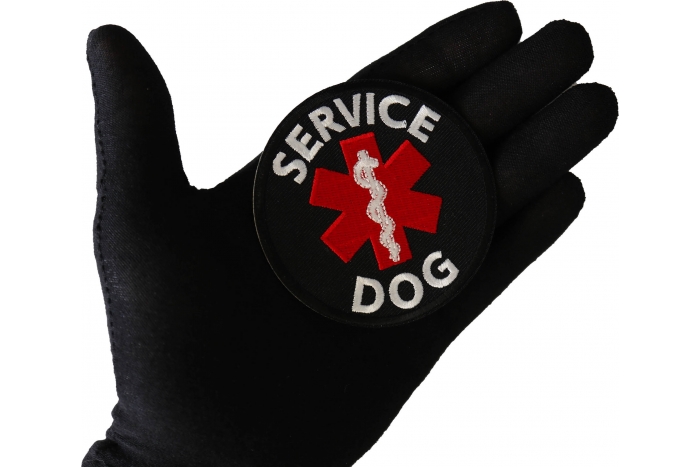 Service Dog Patch shown on hand for size comparison