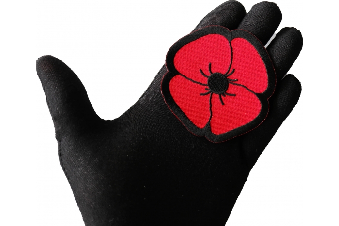 Poppy Patch shown on hand for size comparison