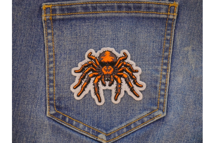 Spider Patch shown on jeans