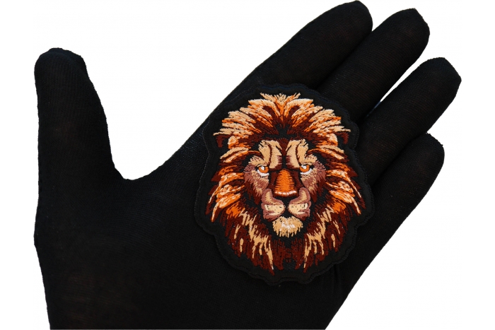 Lion with a Stare Patch shown on hand for size comparison