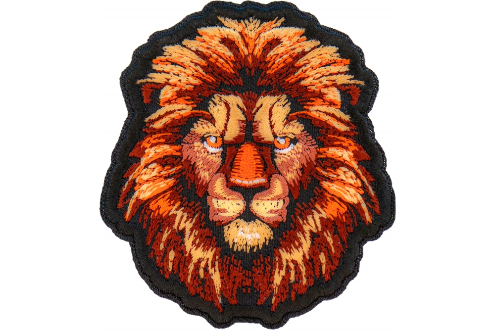 Lion with a Stare Patch